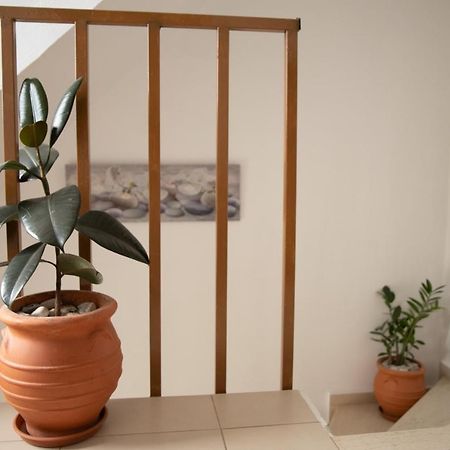 Nikorina Apts Lefkada City Luaran gambar
